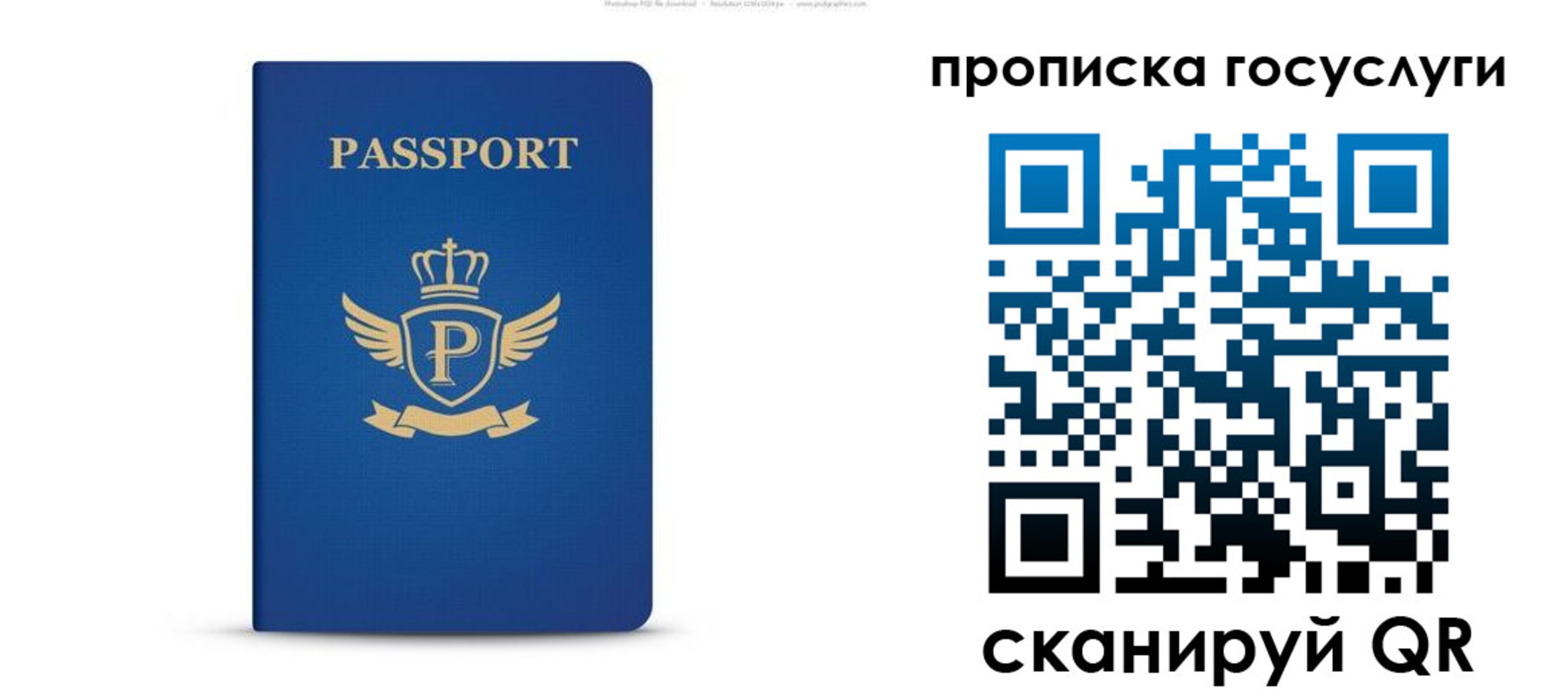 прописка для школы в Аркадаке